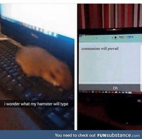 Good boi