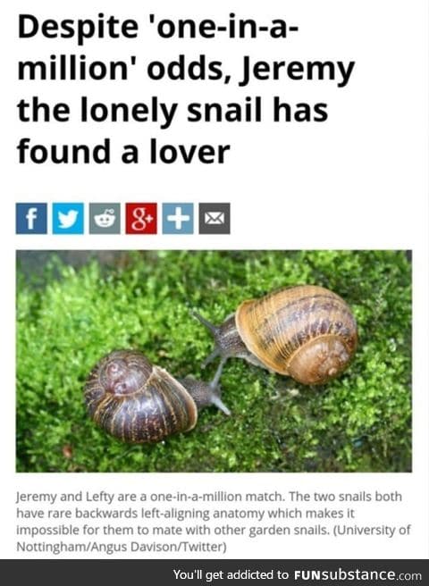 Your love is out there somewhere