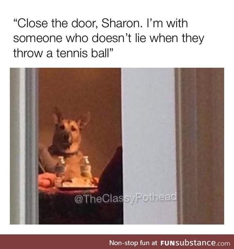 Damn it Sharon