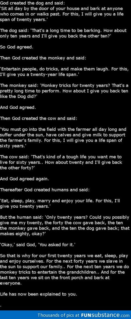 I really liked this