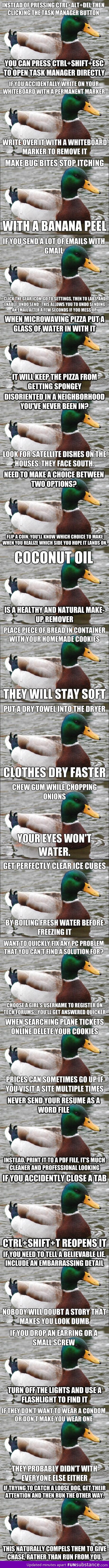 Actual advice mallard comp