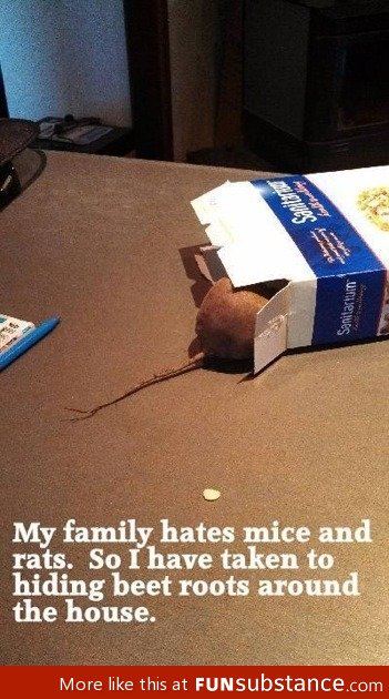 Rats prank