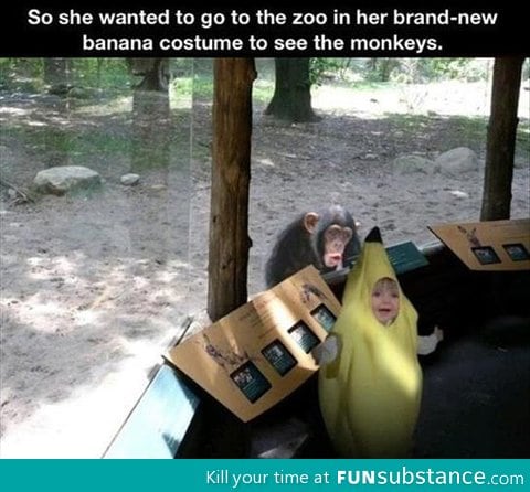 The best place to wear that costume