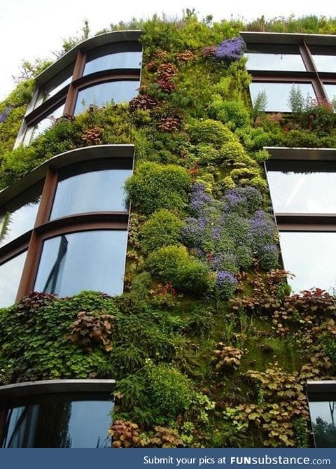 This building is precious