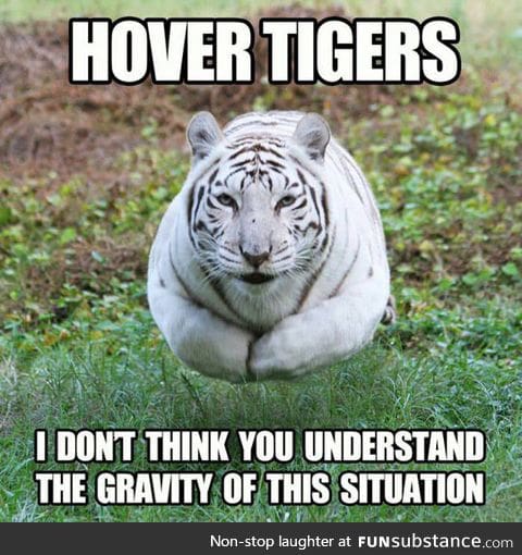 Hover tigers