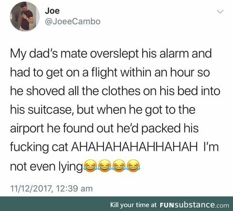 Imagine it!