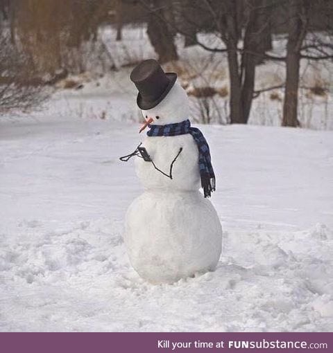 Modern day snowman