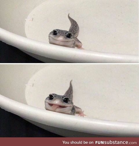 In case your day was terrible