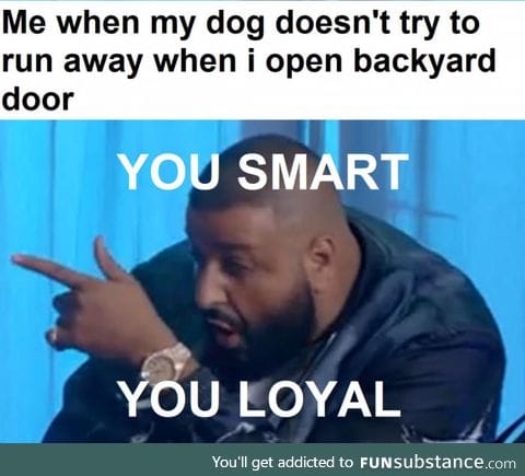 Love my dog