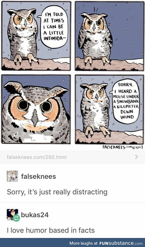 Owls