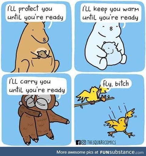 Birds are metal
