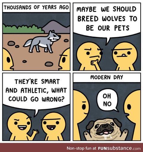 Pugs are ugly and useless