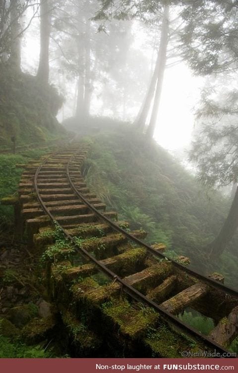 Abandoned train tracks