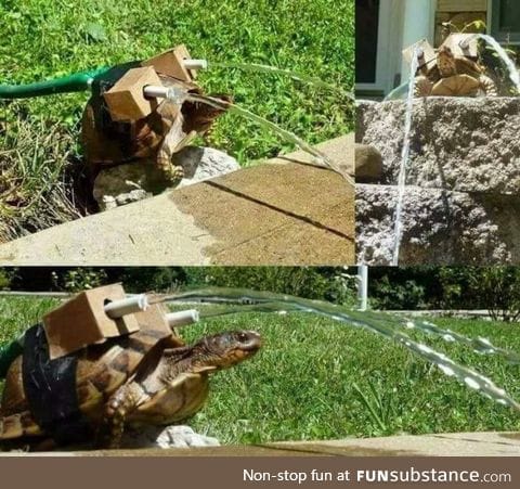 Blastoise is the best Pokemon