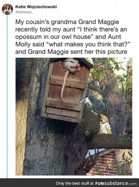 That's one ugly owl