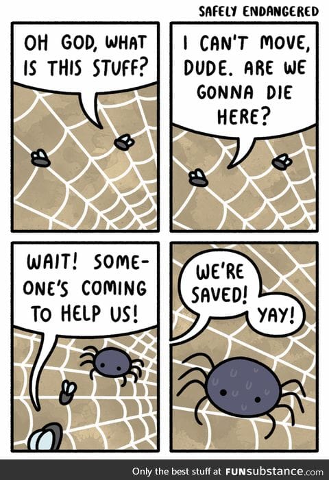 Hooray!