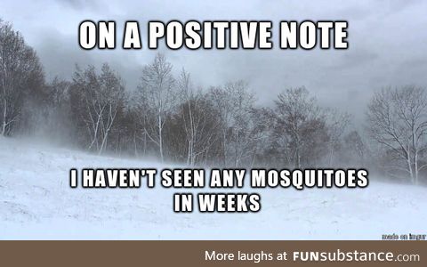 On a Positive Note