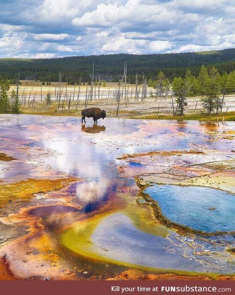Yellowstone looks prehistoric AF