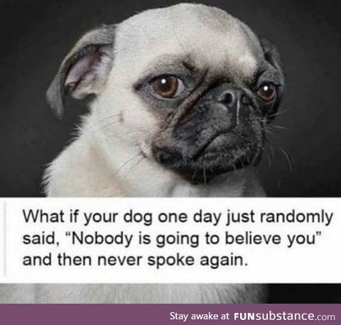 What would you do?