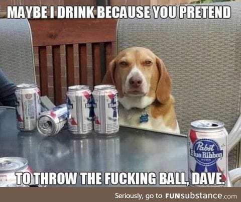 Drunk doggo