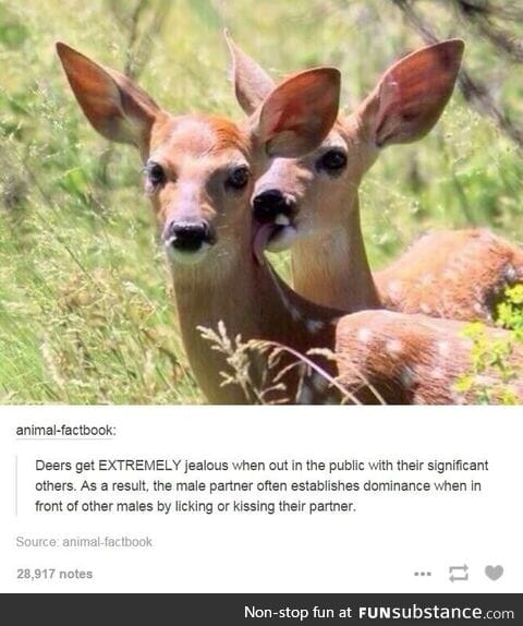 *lick*