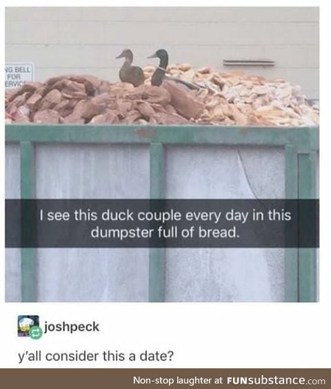 Duck couple