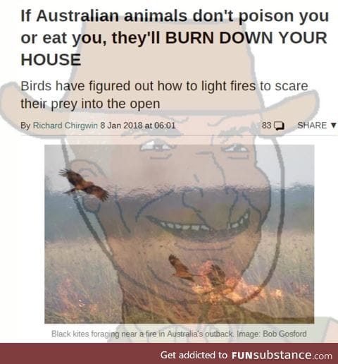 Australian animals are built to kill