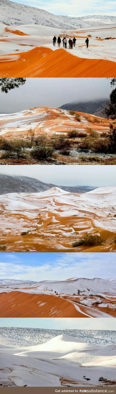 Snow in Sahara. Yup. We definitely need some of that global warming.