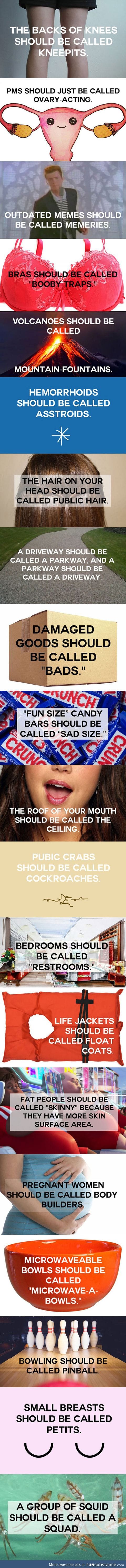New names for everyday objects that make sense