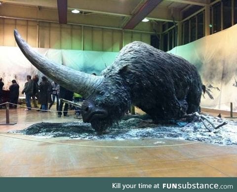 Meet the Elasmotherium, a big hairy unicorn that existed as early as 29,000 years ago