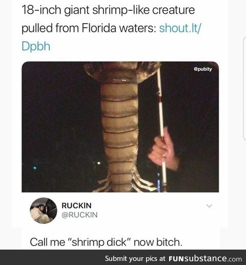 I'm long like a shrimp