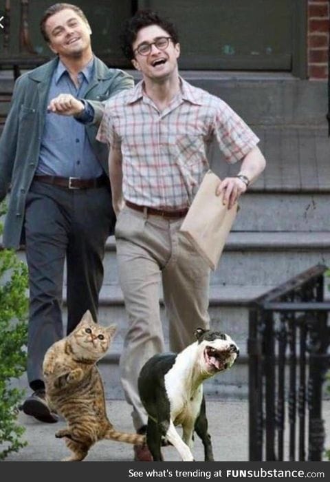 Ultimate happy photo