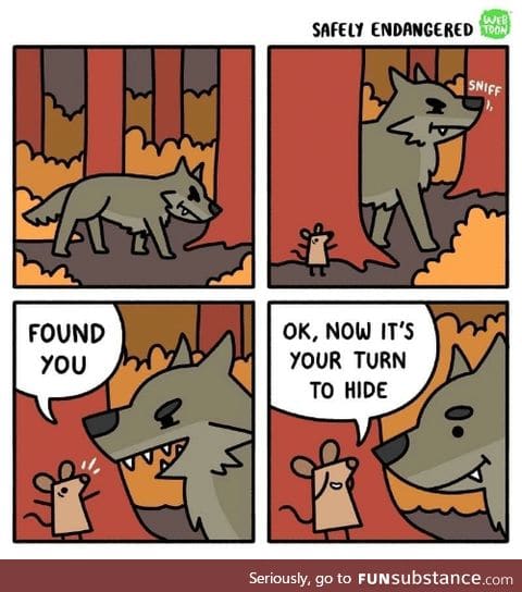 Big nice wolf