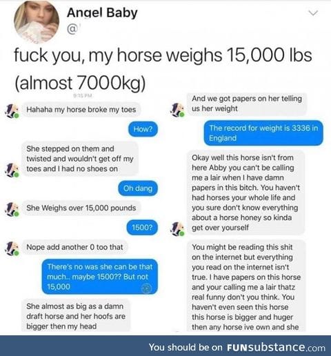 I've been through the desert on a gigantic horse with no name