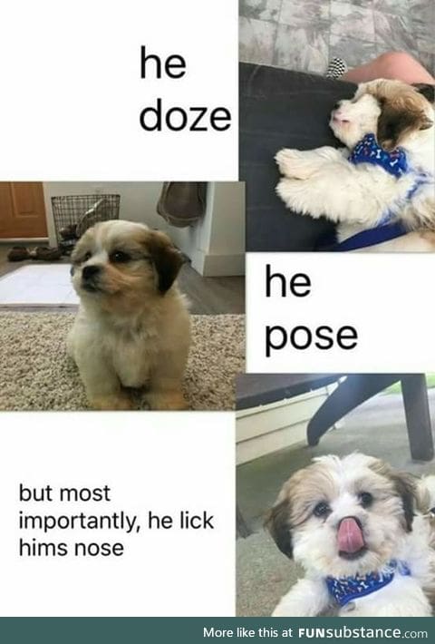 For those that need a pick-me-up today :)