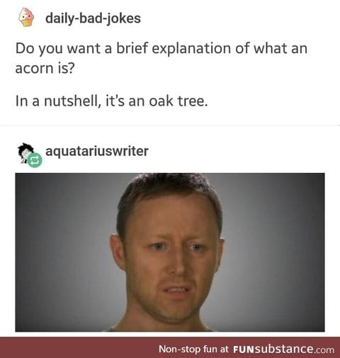 What is an acorn?