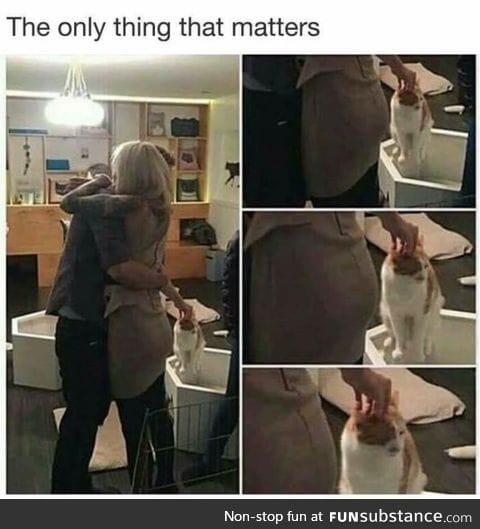 Better petting this cat