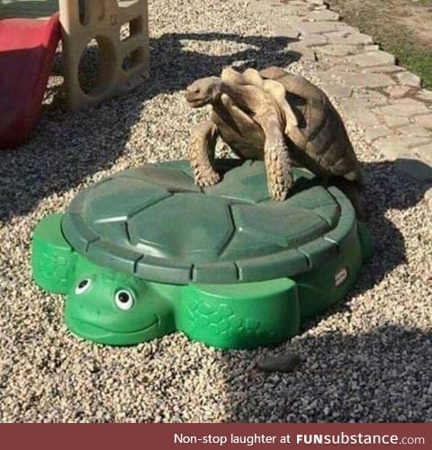 Desperation lvl 100