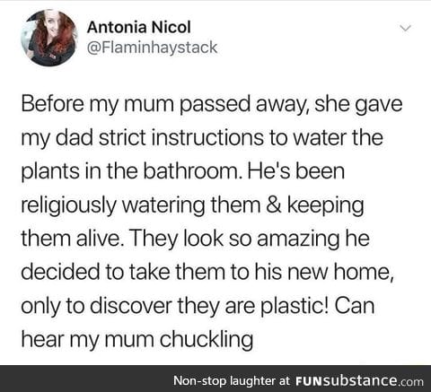 The last prank