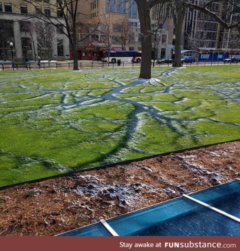 Shadow snow