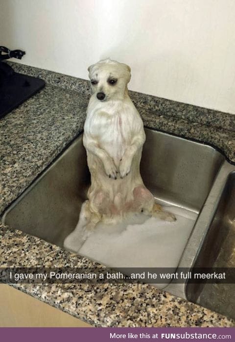 The consequences of a bath