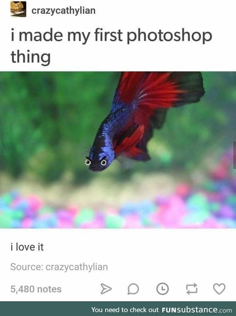 Angry fish