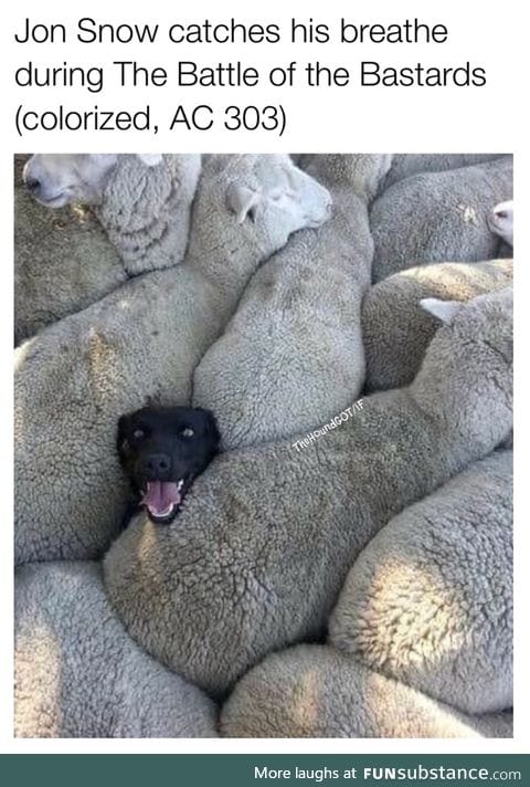 title