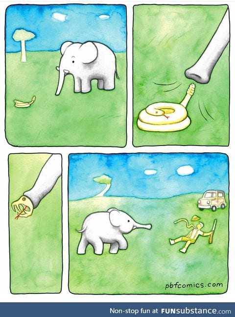 How to escape Poachers 101.