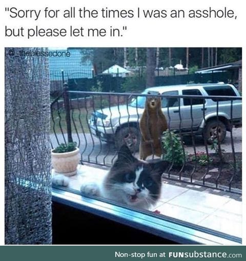 The bear just wants to pet you