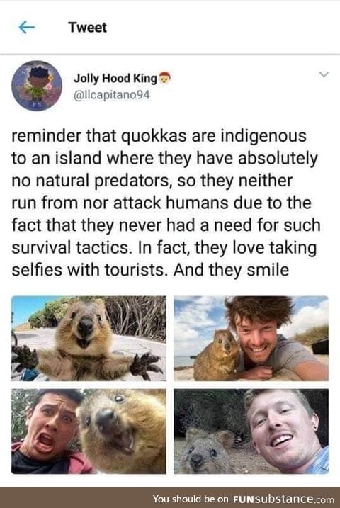 Kind animals