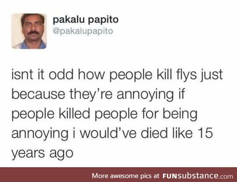 Flies lives matter