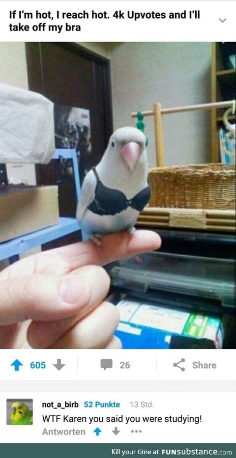 Why is this thing allowed