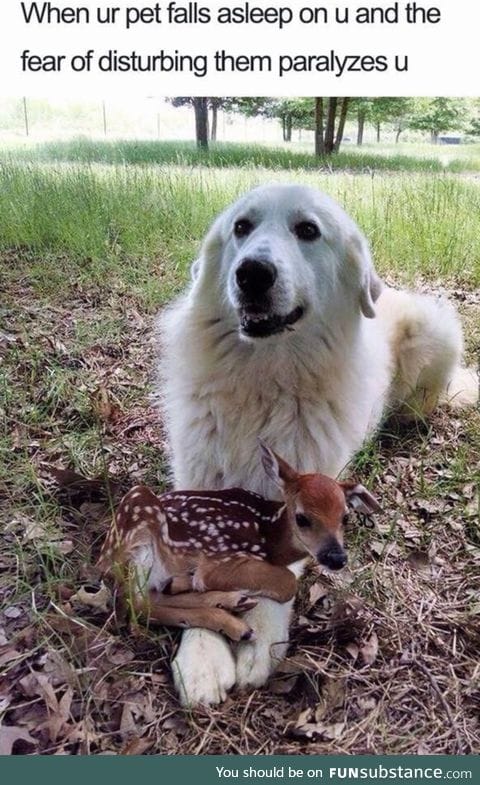 awwww.. *_*