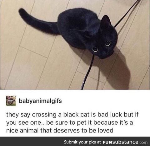 cuddles for everyone!